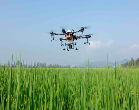 Drone Services in Agriculture