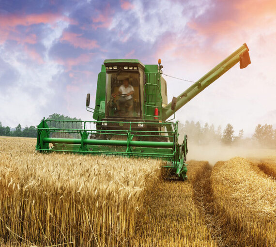 Agriculture Harvesting Services
